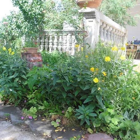 Zdenka * Grebaštica