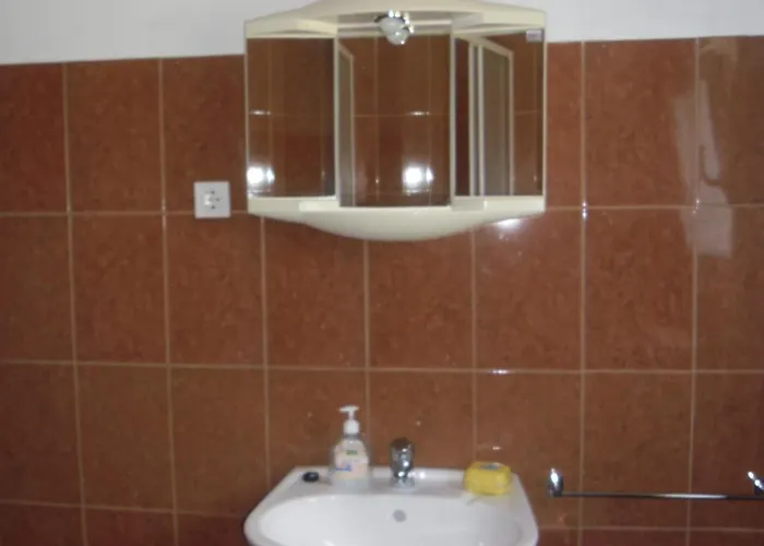 Zdenka Appartamento Grebaštica