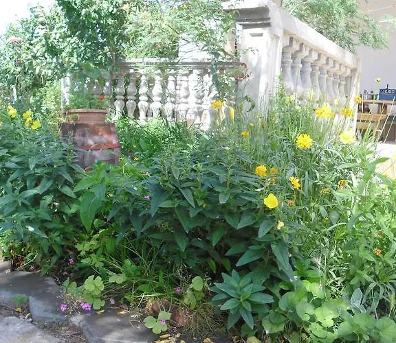 Zdenka * Grebaštica